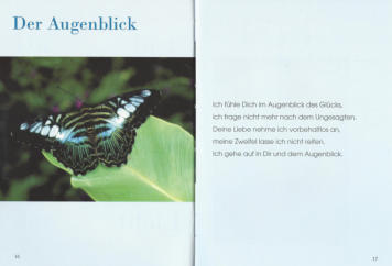 Du bist in Allem - Leseprobe